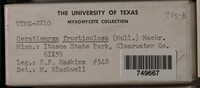 Image Associated With the Occurence